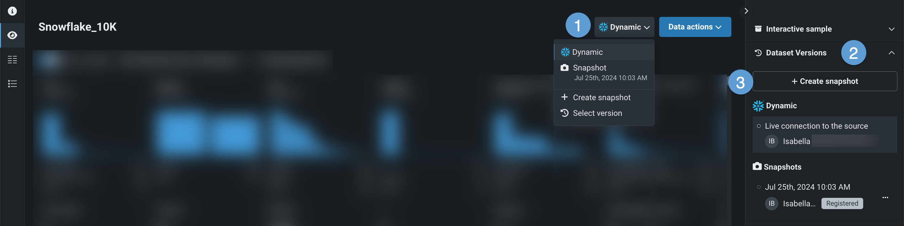 View dataset versioning in the data explore view.