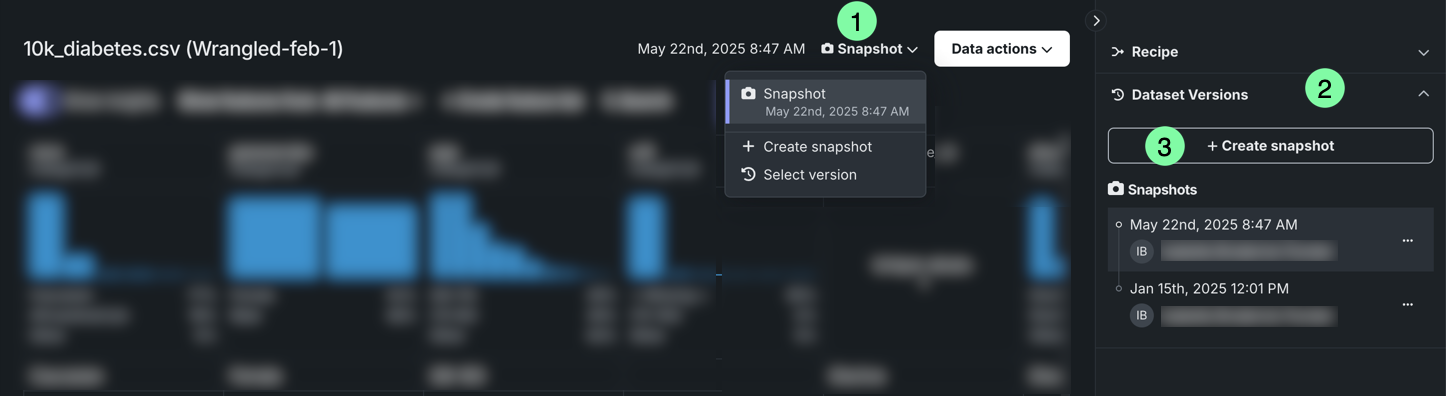 View dataset versioning in the data explore view.